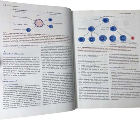 Exploring Immunology Concepts And Evidence By Gordon McPherson & Jon Austyn HC - Picture 9 of 16